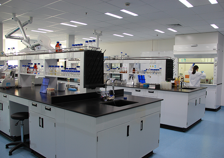 研發(fā)簡(jiǎn)介